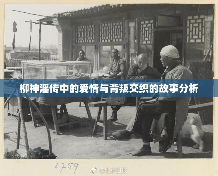 柳神淫传中的爱情与背叛交织的故事分析