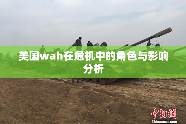 美国wah在危机中的角色与影响分析