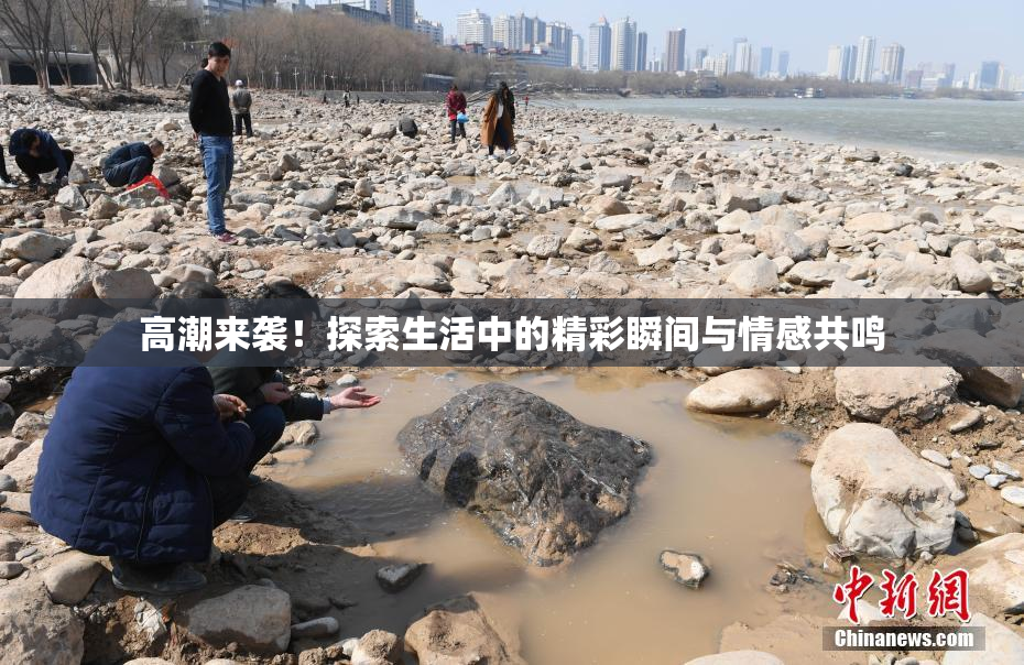 高潮来袭！探索生活中的精彩瞬间与情感共鸣