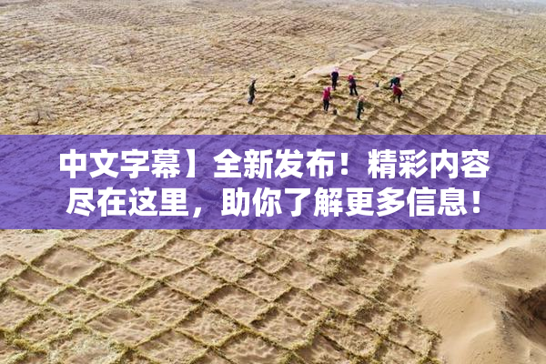 中文字幕】全新发布！精彩内容尽在这里，助你了解更多信息！