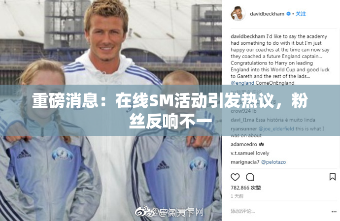 重磅消息：在线SM活动引发热议，粉丝反响不一