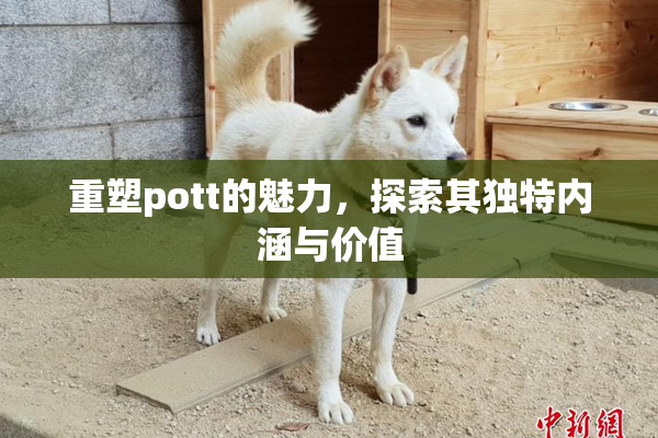 重塑pott的魅力，探索其独特内涵与价值