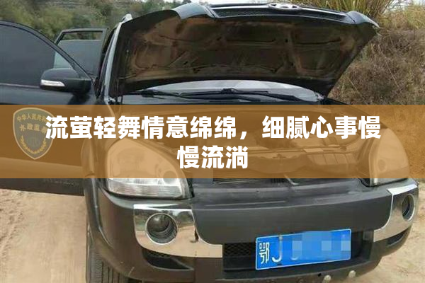 流萤轻舞情意绵绵，细腻心事慢慢流淌