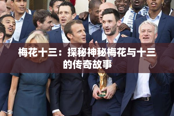 梅花十三：探秘神秘梅花与十三的传奇故事