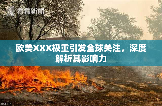 欧美XXX极重引发全球关注，深度解析其影响力