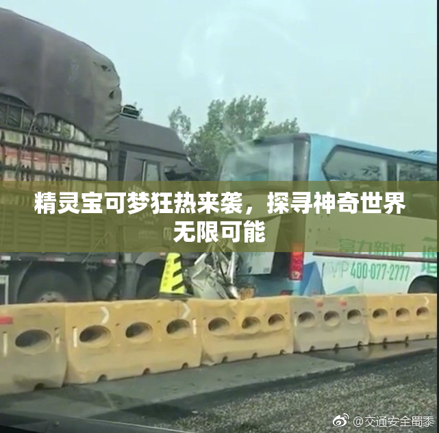 精灵宝可梦狂热来袭，探寻神奇世界无限可能