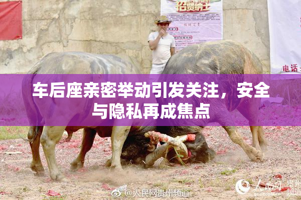 车后座亲密举动引发关注，安全与隐私再成焦点