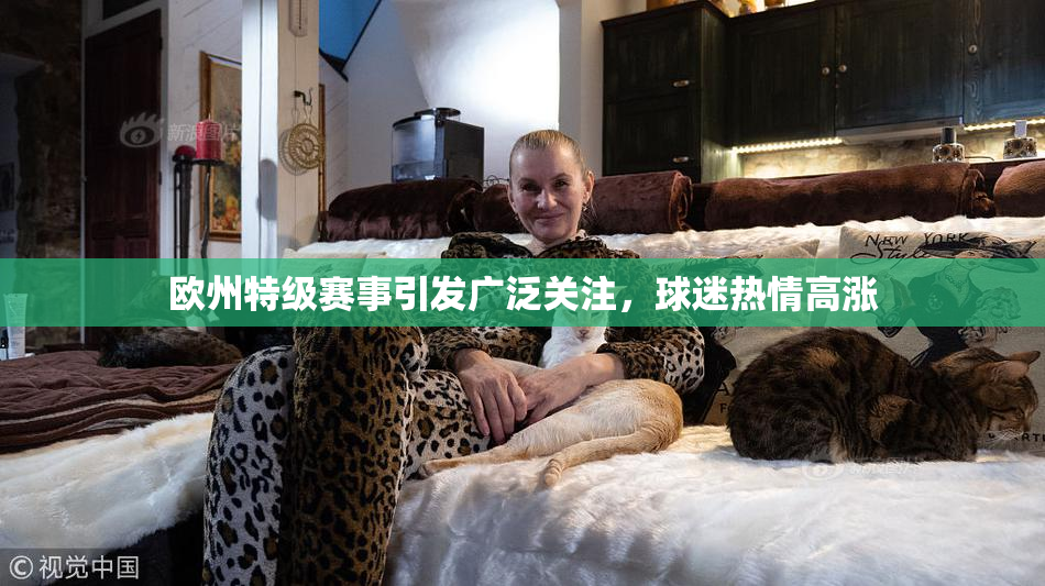 欧州特级赛事引发广泛关注，球迷热情高涨