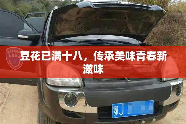 豆花已满十八，传承美味青春新滋味