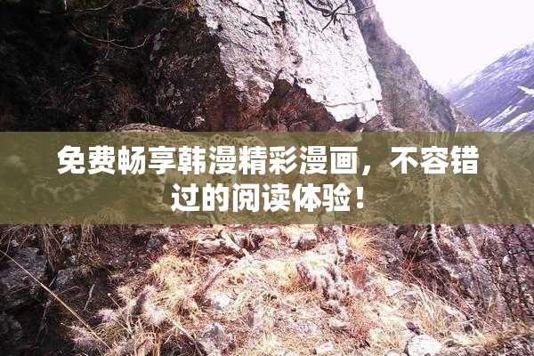 免费畅享韩漫精彩漫画，不容错过的阅读体验！