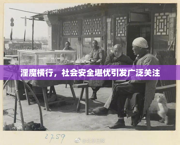 淫魔横行，社会安全堪忧引发广泛关注