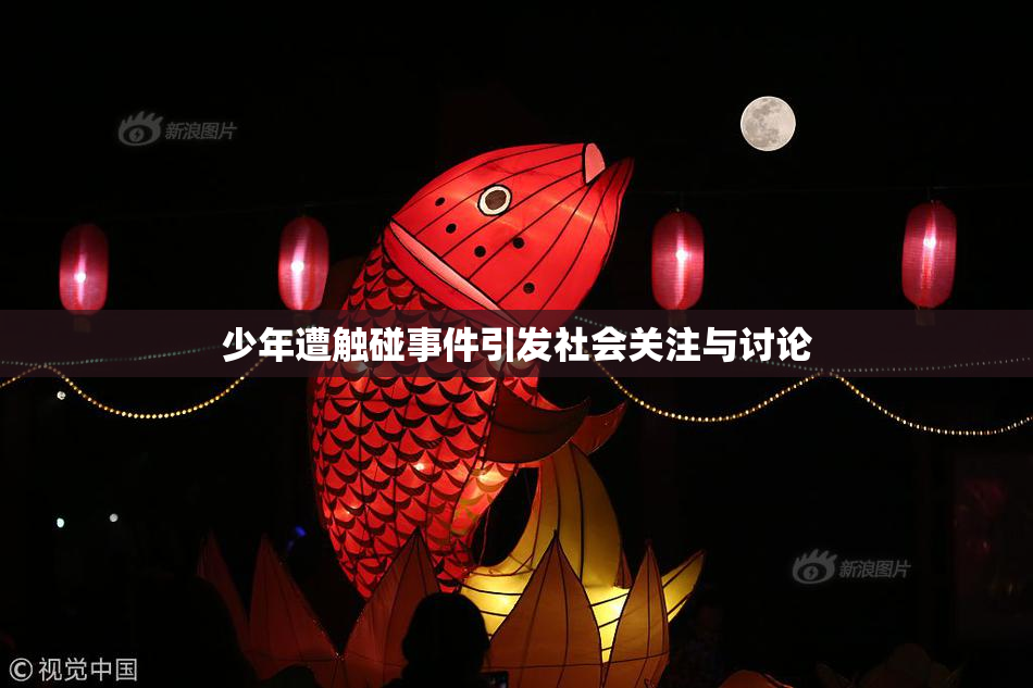 少年遭触碰事件引发社会关注与讨论