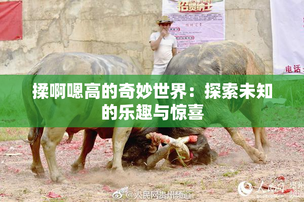 揉啊嗯高的奇妙世界：探索未知的乐趣与惊喜