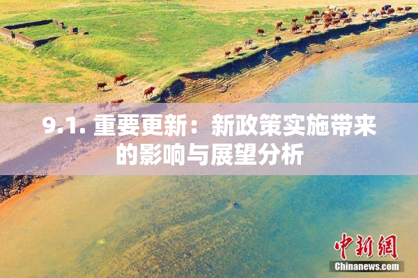 9.1. 重要更新：新政策实施带来的影响与展望分析