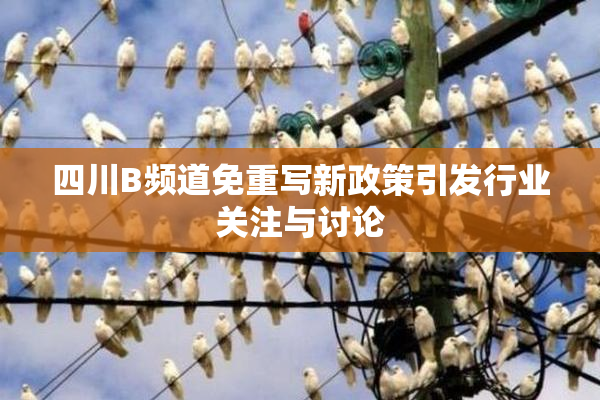 四川B频道免重写新政策引发行业关注与讨论