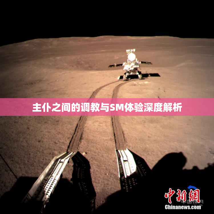 主仆之间的调教与SM体验深度解析