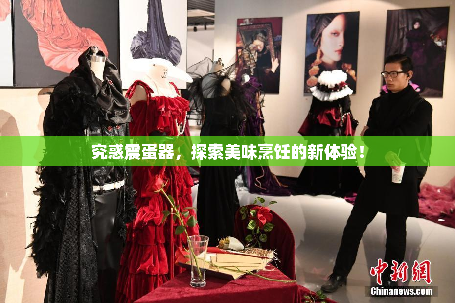 究惑震蛋器，探索美味烹饪的新体验！