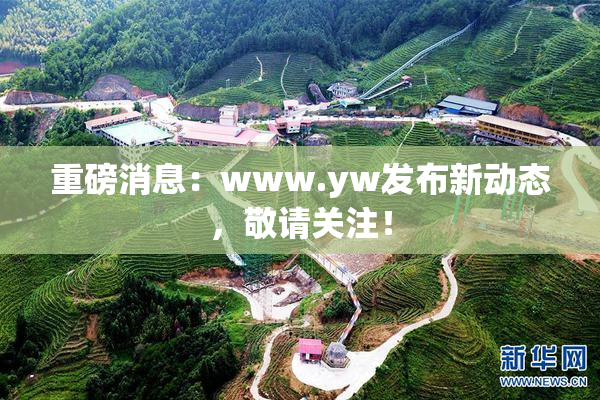 重磅消息：www.yw发布新动态，敬请关注！