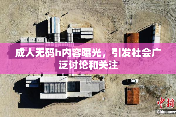 成人无码h内容曝光，引发社会广泛讨论和关注