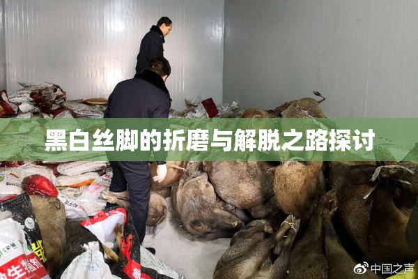 黑白丝脚的折磨与解脱之路探讨
