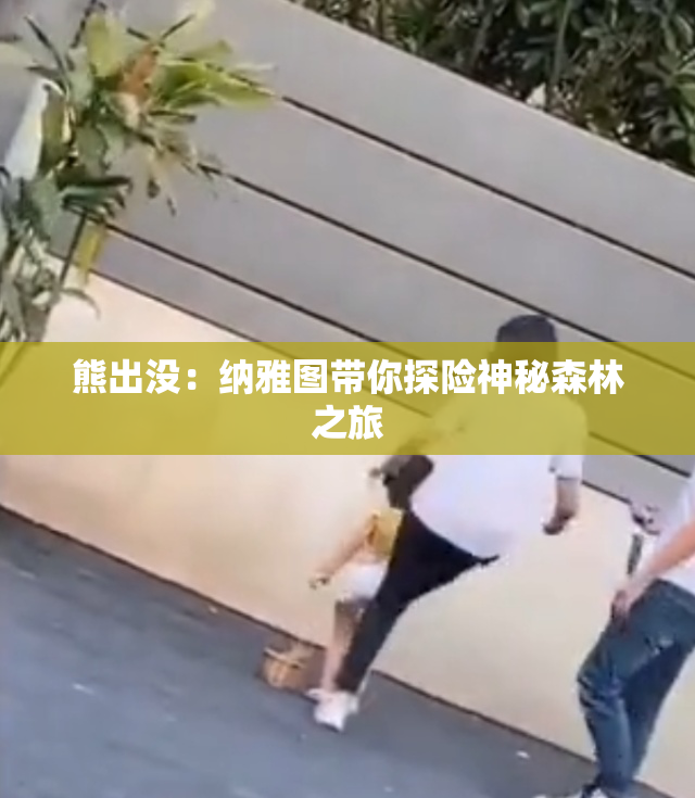 熊出没：纳雅图带你探险神秘森林之旅