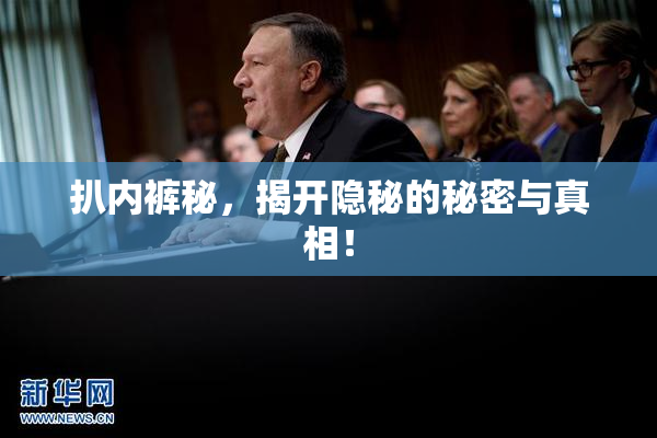 扒内裤秘，揭开隐秘的秘密与真相！