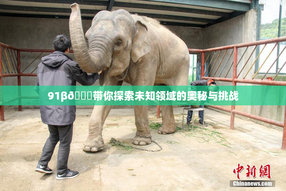 91β🔞带你探索未知领域的奥秘与挑战