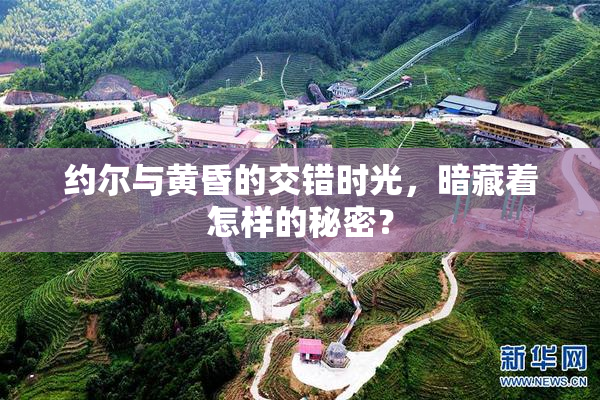 约尔与黄昏的交错时光，暗藏着怎样的秘密？