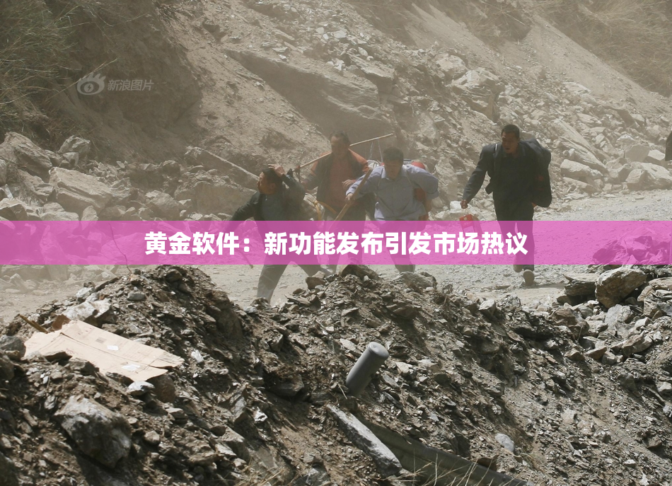 黄金软件：新功能发布引发市场热议