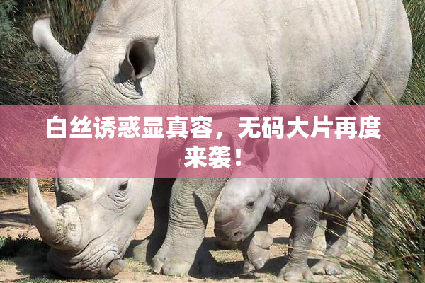 白丝诱惑显真容，无码大片再度来袭！