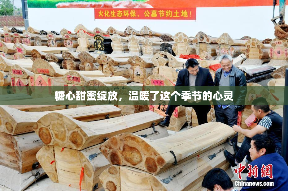糖心甜蜜绽放，温暖了这个季节的心灵