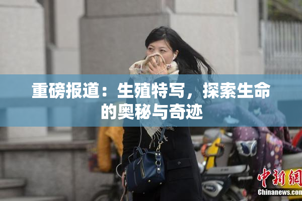 重磅报道：生殖特写，探索生命的奥秘与奇迹