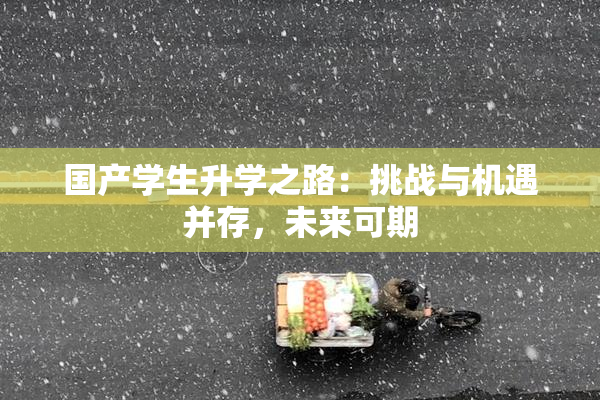 国产学生升学之路：挑战与机遇并存，未来可期