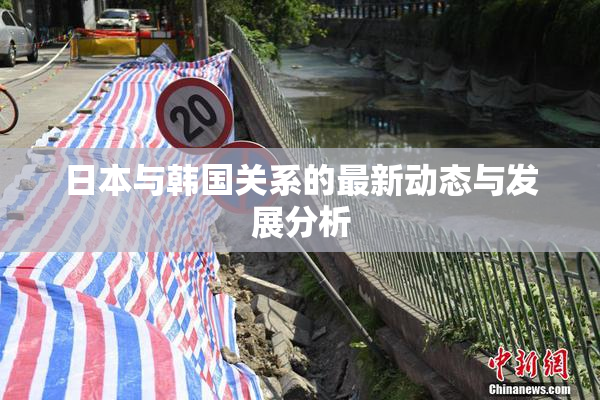 日本与韩国关系的最新动态与发展分析