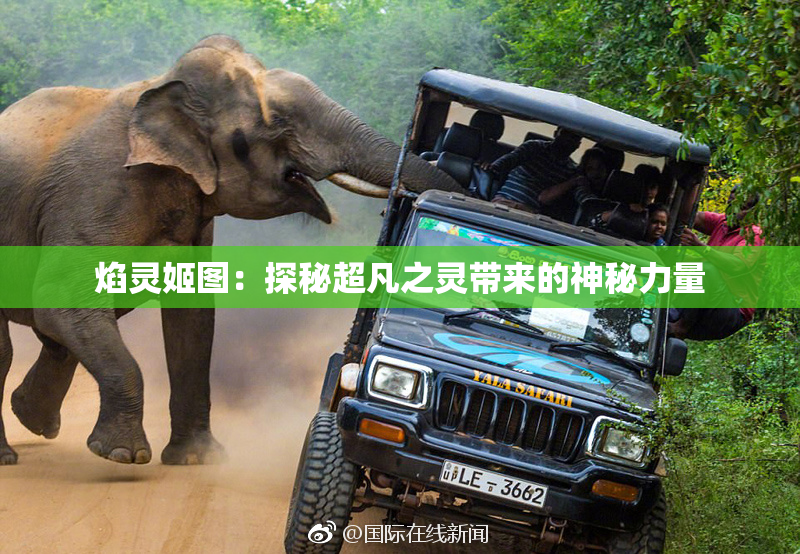 焰灵姬图：探秘超凡之灵带来的神秘力量