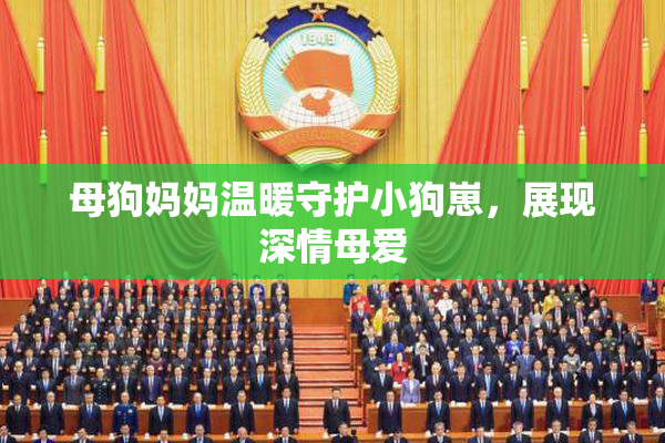 母狗妈妈温暖守护小狗崽，展现深情母爱