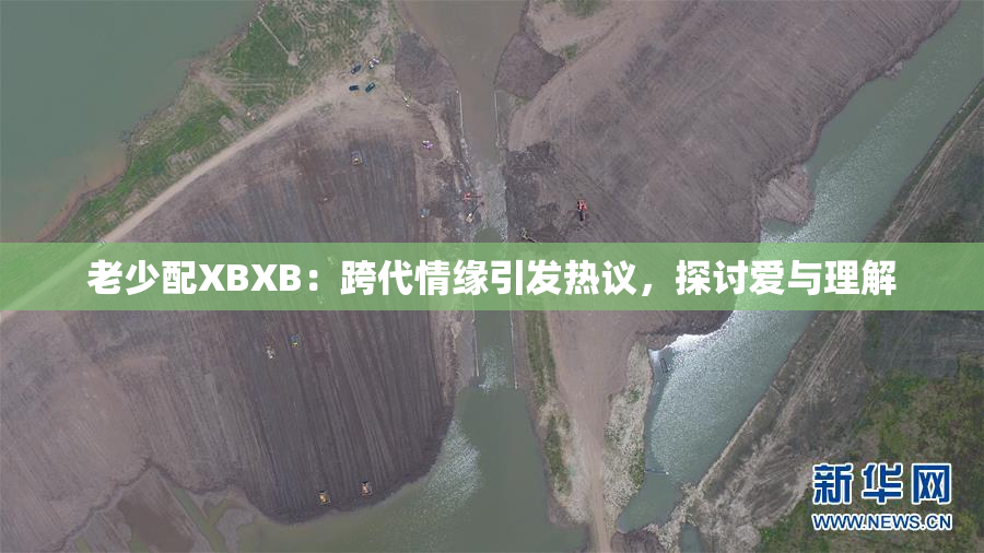 老少配XBXB：跨代情缘引发热议，探讨爱与理解