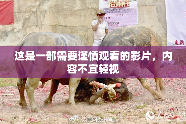 这是一部需要谨慎观看的影片，内容不宜轻视