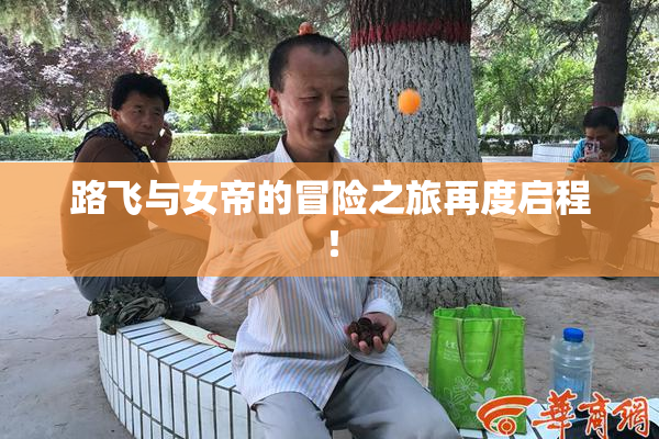 路飞与女帝的冒险之旅再度启程！