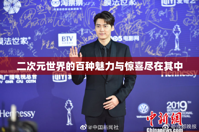 二次元世界的百种魅力与惊喜尽在其中