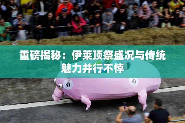重磅揭秘：伊莱顶祭盛况与传统魅力并行不悖