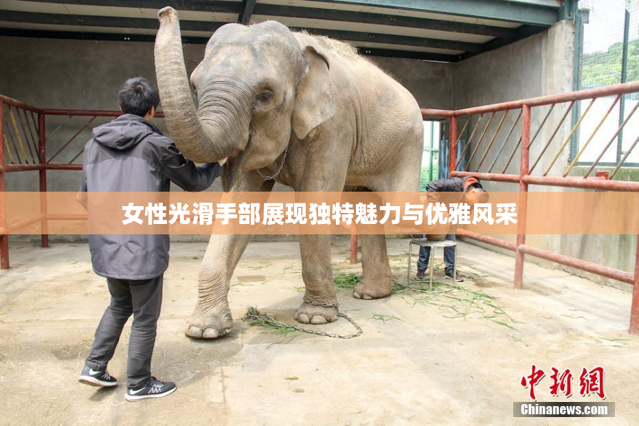 女性光滑手部展现独特魅力与优雅风采