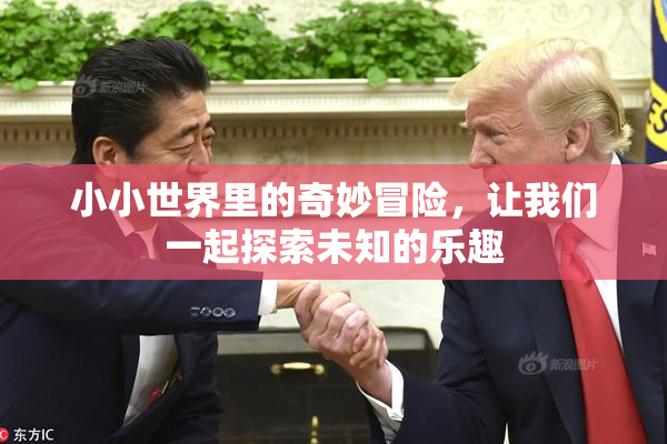 小小世界里的奇妙冒险，让我们一起探索未知的乐趣