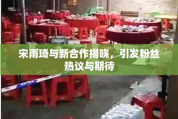 宋雨琦与新合作揭晓，引发粉丝热议与期待