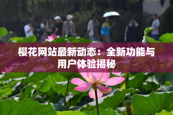 樱花网站最新动态：全新功能与用户体验揭秘
