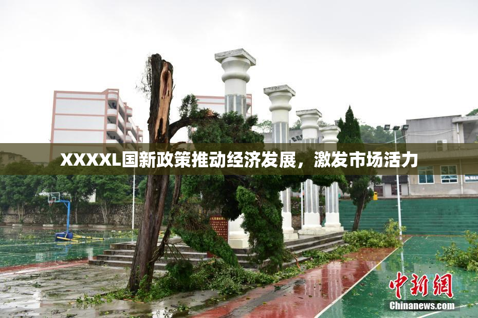 XXXXL国新政策推动经济发展，激发市场活力