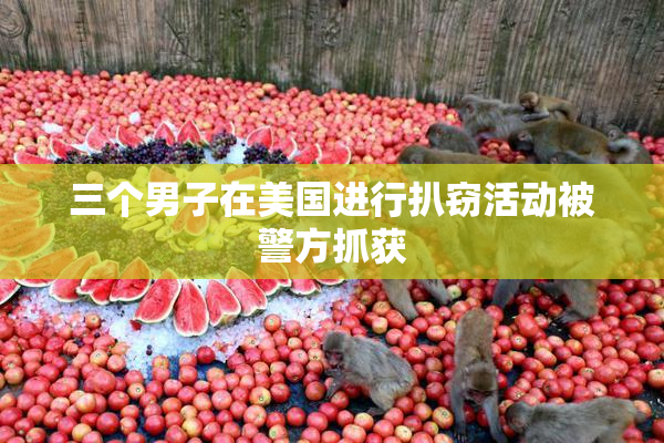 三个男子在美国进行扒窃活动被警方抓获