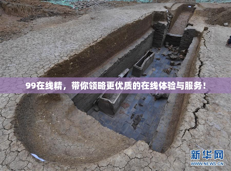 99在线精，带你领略更优质的在线体验与服务！