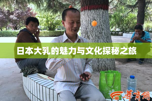 日本大乳的魅力与文化探秘之旅