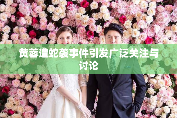 黄蓉遭蛇袭事件引发广泛关注与讨论